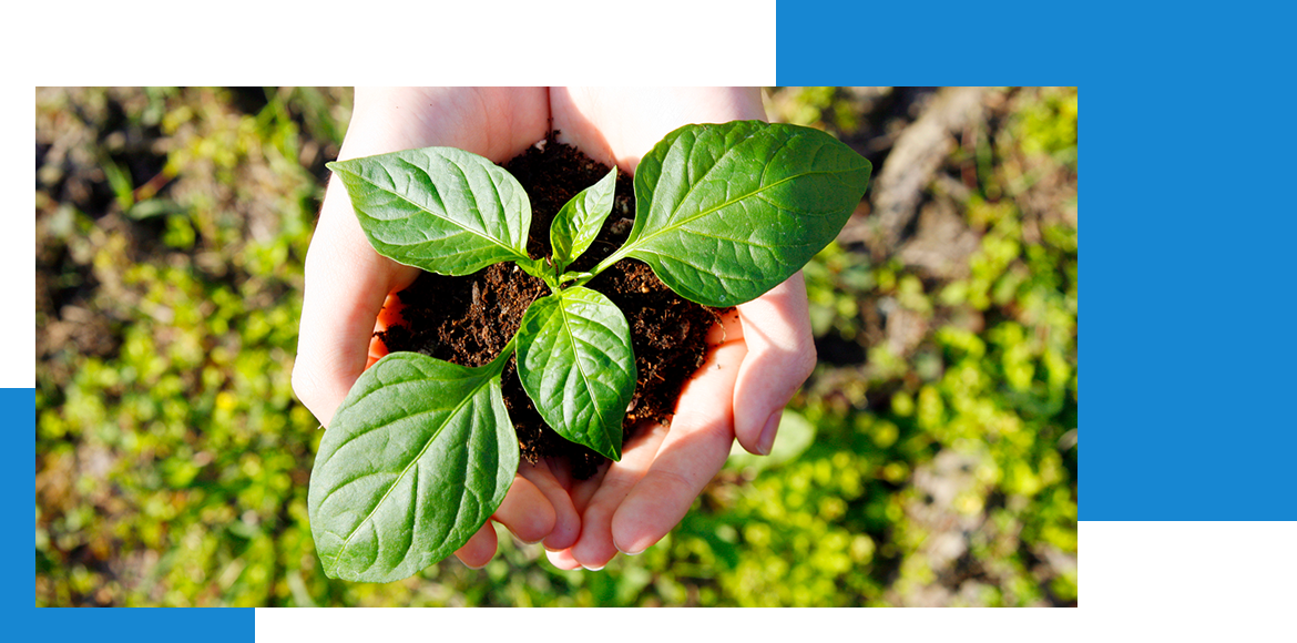 FEATURES    03  地域に根差した信頼の証  FEATURES    03  地域に根差した信頼の証